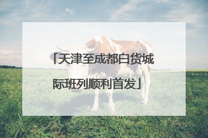 天津至成都白货城际班列顺利首发