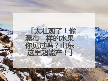 太壮观了！像瀑布一样的水果你见过吗？山东这里超能产！