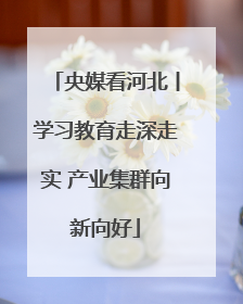 央媒看河北丨学习教育走深走实 产业集群向新向好