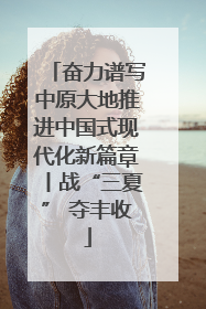 奋力谱写中原大地推进中国式现代化新篇章丨战“三夏” 夺丰收