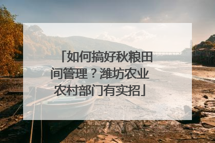 如何搞好秋粮田间管理？潍坊农业农村部门有实招