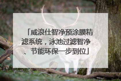 威浪仕智净预涂膜精滤系统，泳池过滤智净、节能环保一步到位