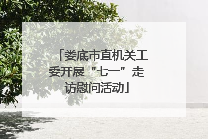 娄底市直机关工委开展“七一”走访慰问活动
