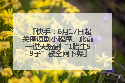 快手：6月17日起关停短剧小程序。此前一逆天短剧“1胎生99子”被全网下架