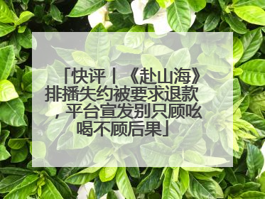 快评丨《赴山海》排播失约被要求退款，平台宣发别只顾吆喝不顾后果