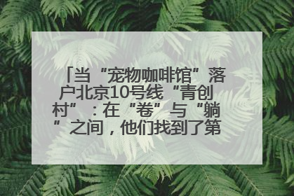 当“宠物咖啡馆”落户北京10号线“青创村”：在“卷”与“躺”之间，他们找到了第三种生活公式