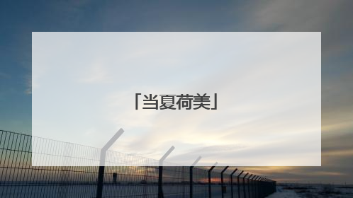 当夏荷美