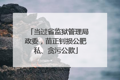 当过省监狱管理局政委，苗正钊损公肥私、贪污公款