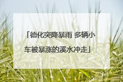 德化突降暴雨 多辆小车被暴涨的溪水冲走