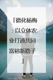 德化杨梅：以立体农业打通共同富裕新路子