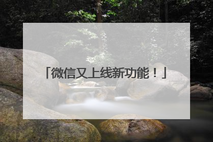 微信又上线新功能！