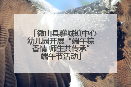 微山县驩城镇中心幼儿园开展“端午粽香情 师生共传承”端午节活动
