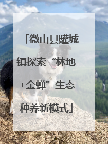 微山县驩城镇探索“林地+金蝉”生态种养新模式
