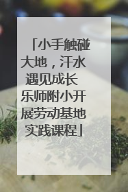 小手触碰大地，汗水遇见成长 乐师附小开展劳动基地实践课程