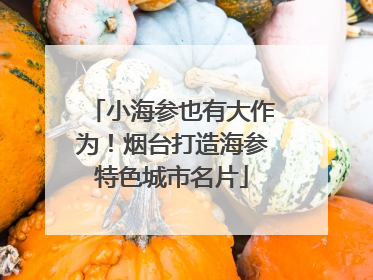 小海参也有大作为！烟台打造海参特色城市名片