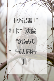 小记者“打卡”法院 “沉浸式”与法同行