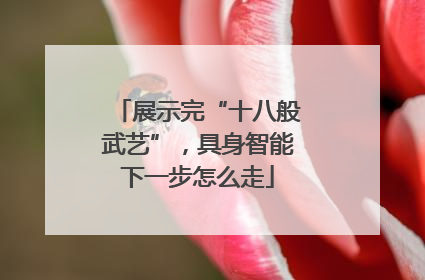 展示完“十八般武艺”，具身智能下一步怎么走