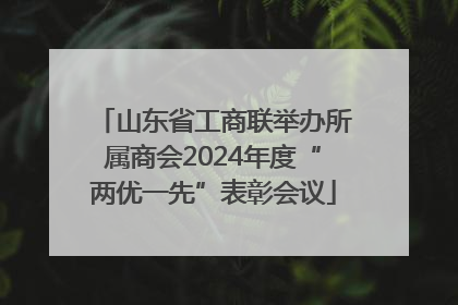 山东省工商联举办所属商会2024年度“两优一先”表彰会议