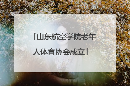 山东航空学院老年人体育协会成立