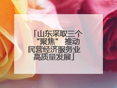 山东采取三个“聚焦” 推动民营经济服务业高质量发展