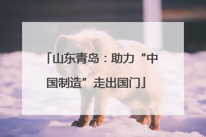 山东青岛：助力“中国制造”走出国门