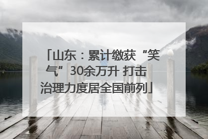 山东：累计缴获“笑气”30余万升 打击治理力度居全国前列