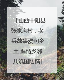 山西中阳县张家沟村：老兵故事浸润乡土 温情乡邻共筑国防情