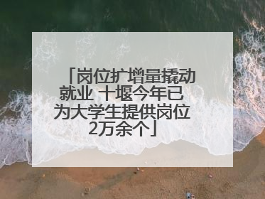 岗位扩增量撬动就业 十堰今年已为大学生提供岗位2万余个