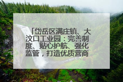 岱岳区满庄镇、大汶口工业园：完善制度、贴心护航、强化监管，打造优质营商“强磁场”