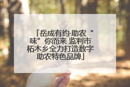 岳成有约·助农“味”你而来 监利市柘木乡全力打造数字助农特色品牌