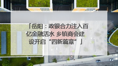 岳阳：政银合力注入百亿金融活水 乡镇商会建设开启“四新篇章”