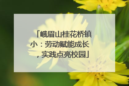 峨眉山桂花桥镇小：劳动赋能成长，实践点亮校园