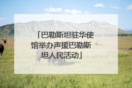 巴勒斯坦驻华使馆举办声援巴勒斯坦人民活动