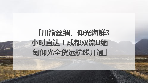 川渝丝绸、仰光海鲜3小时直达！成都双流⇌缅甸仰光全货运航线开通