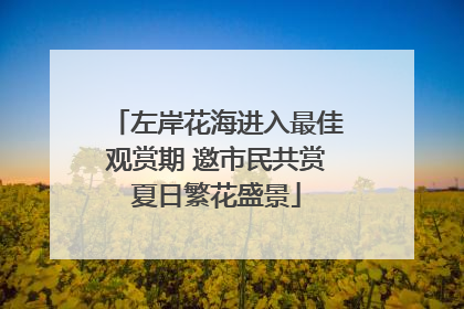 左岸花海进入最佳观赏期 邀市民共赏夏日繁花盛景