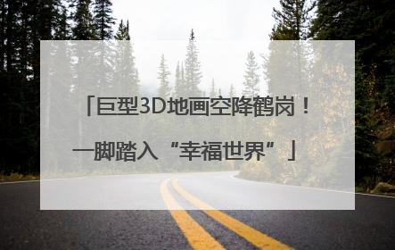 巨型3D地画空降鹤岗！一脚踏入“幸福世界”