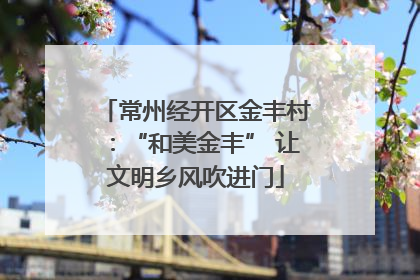 常州经开区金丰村：“和美金丰” 让文明乡风吹进门