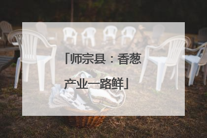 师宗县：香葱产业一路鲜