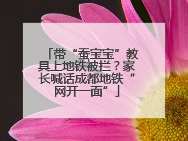 带“蚕宝宝”教具上地铁被拦？家长喊话成都地铁“网开一面”