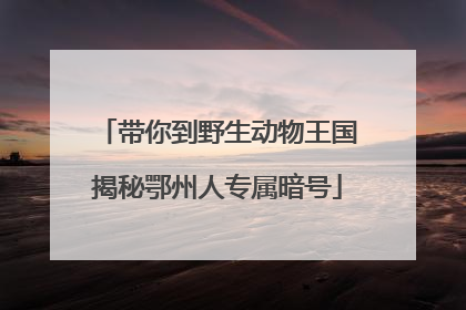 带你到野生动物王国揭秘鄂州人专属暗号