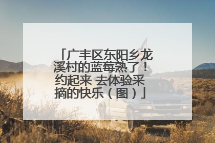 广丰区东阳乡龙溪村的蓝莓熟了！约起来 去体验采摘的快乐（图）