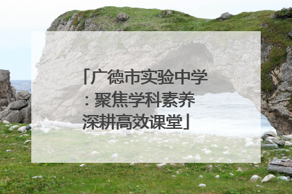 广德市实验中学：聚焦学科素养 深耕高效课堂