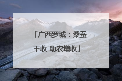 广西罗城：桑蚕丰收 助农增收