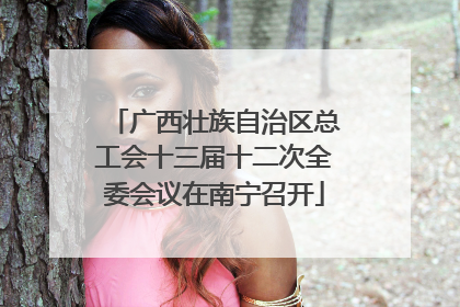广西壮族自治区总工会十三届十二次全委会议在南宁召开