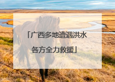 广西多地遭遇洪水 各方全力救援