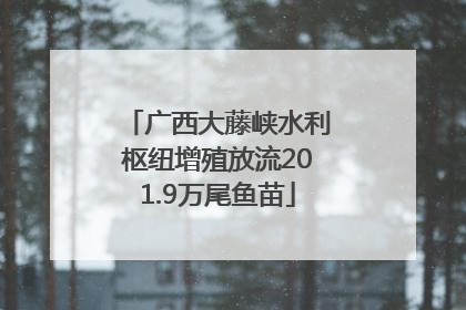 广西大藤峡水利枢纽增殖放流201.9万尾鱼苗