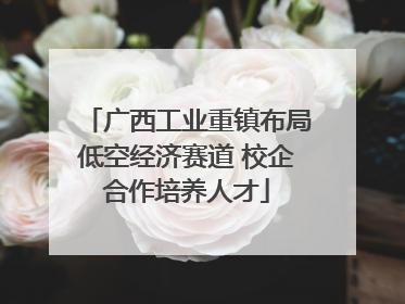 广西工业重镇布局低空经济赛道 校企合作培养人才