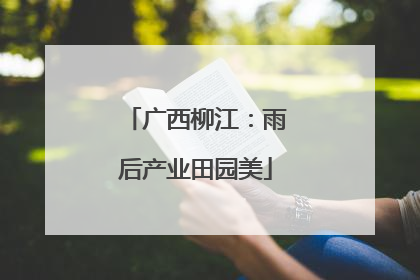 广西柳江：雨后产业田园美