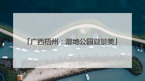 广西梧州：湿地公园夏景美