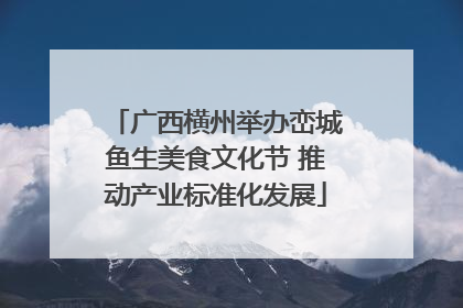广西横州举办峦城鱼生美食文化节 推动产业标准化发展